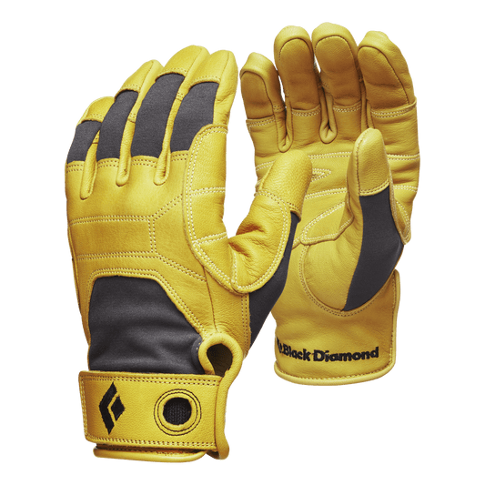 Transition Gloves - Groupe Montagne Explore