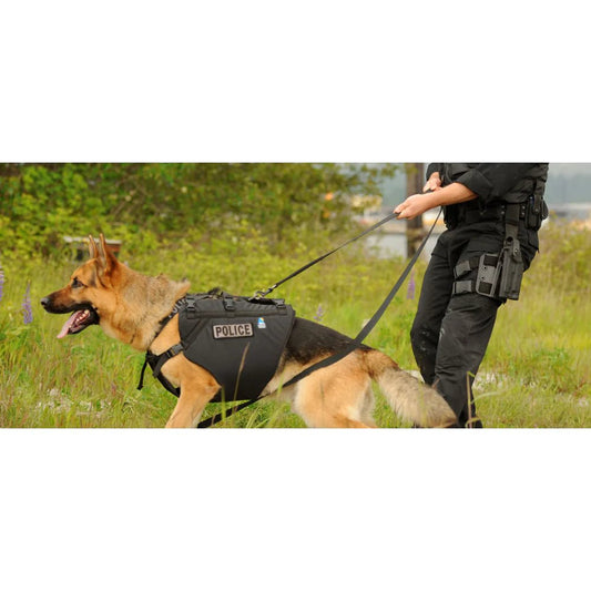 K9 Floater Vest - Groupe Montagne Explore