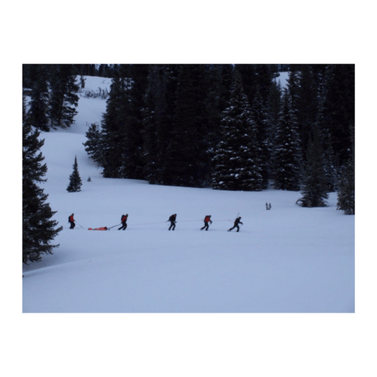 Advanced Series Snow Handles (Factory Installed) - Groupe Montagne Explore