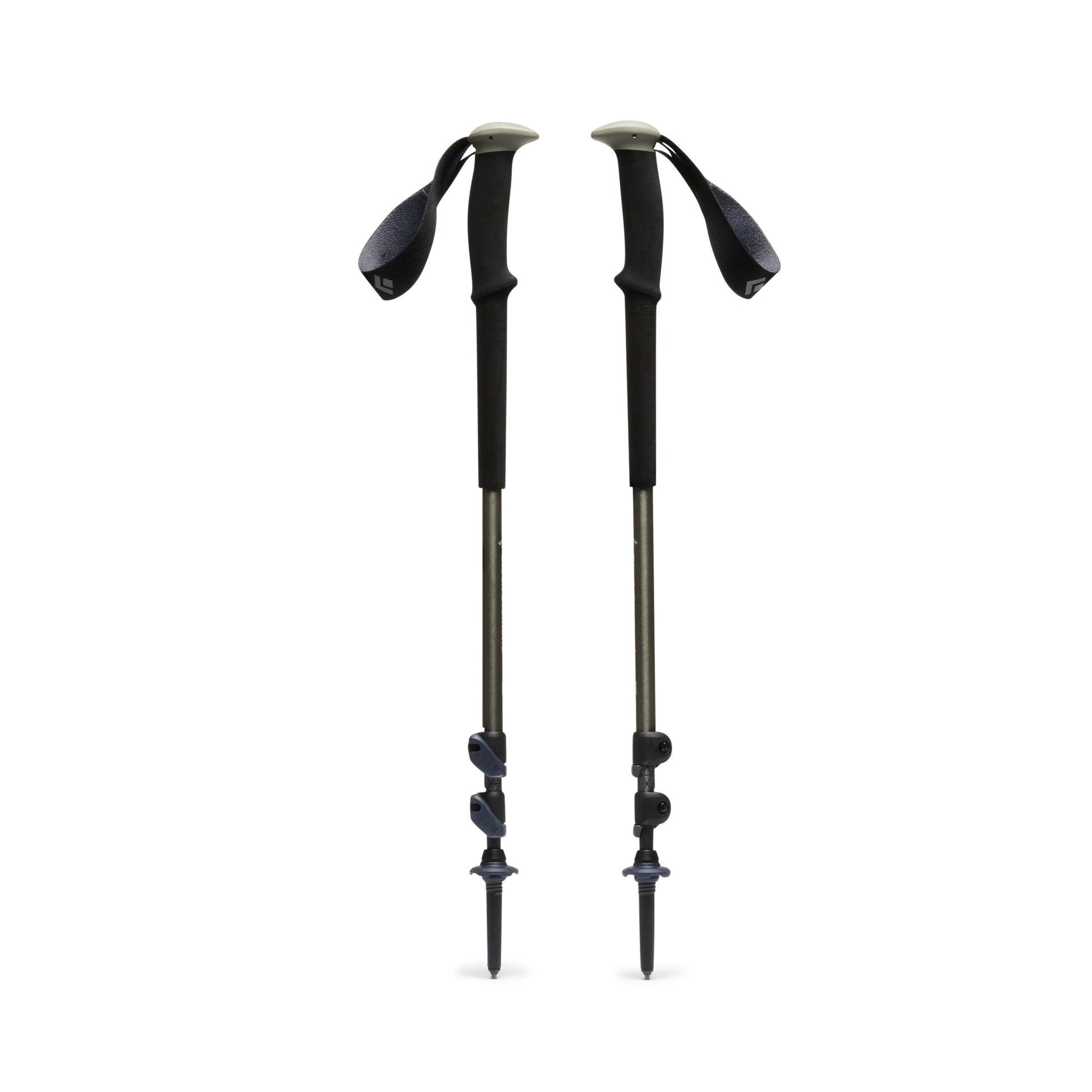 Trail Trekking Poles - Groupe Montagne Explore