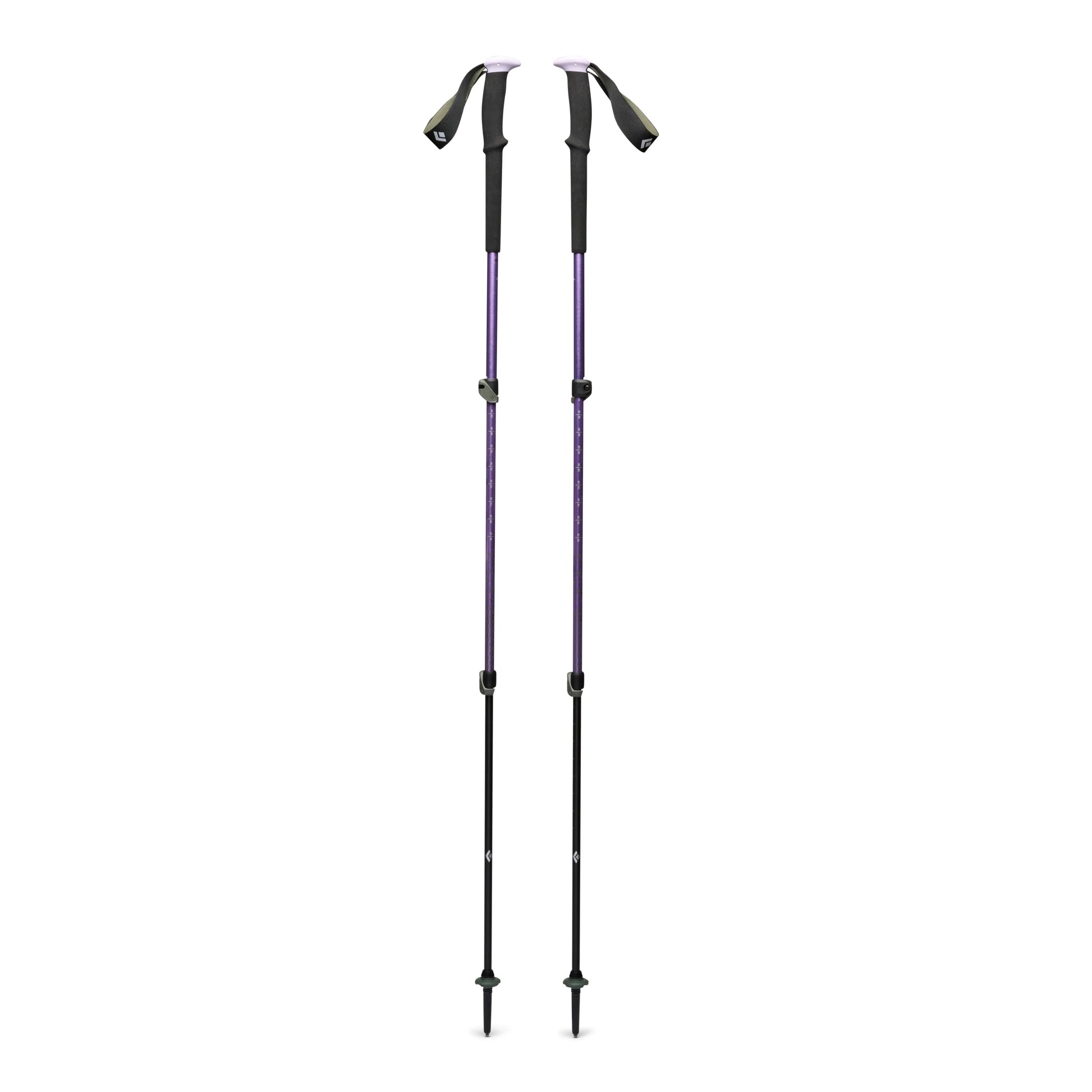 Trail Trekking Poles - Groupe Montagne Explore