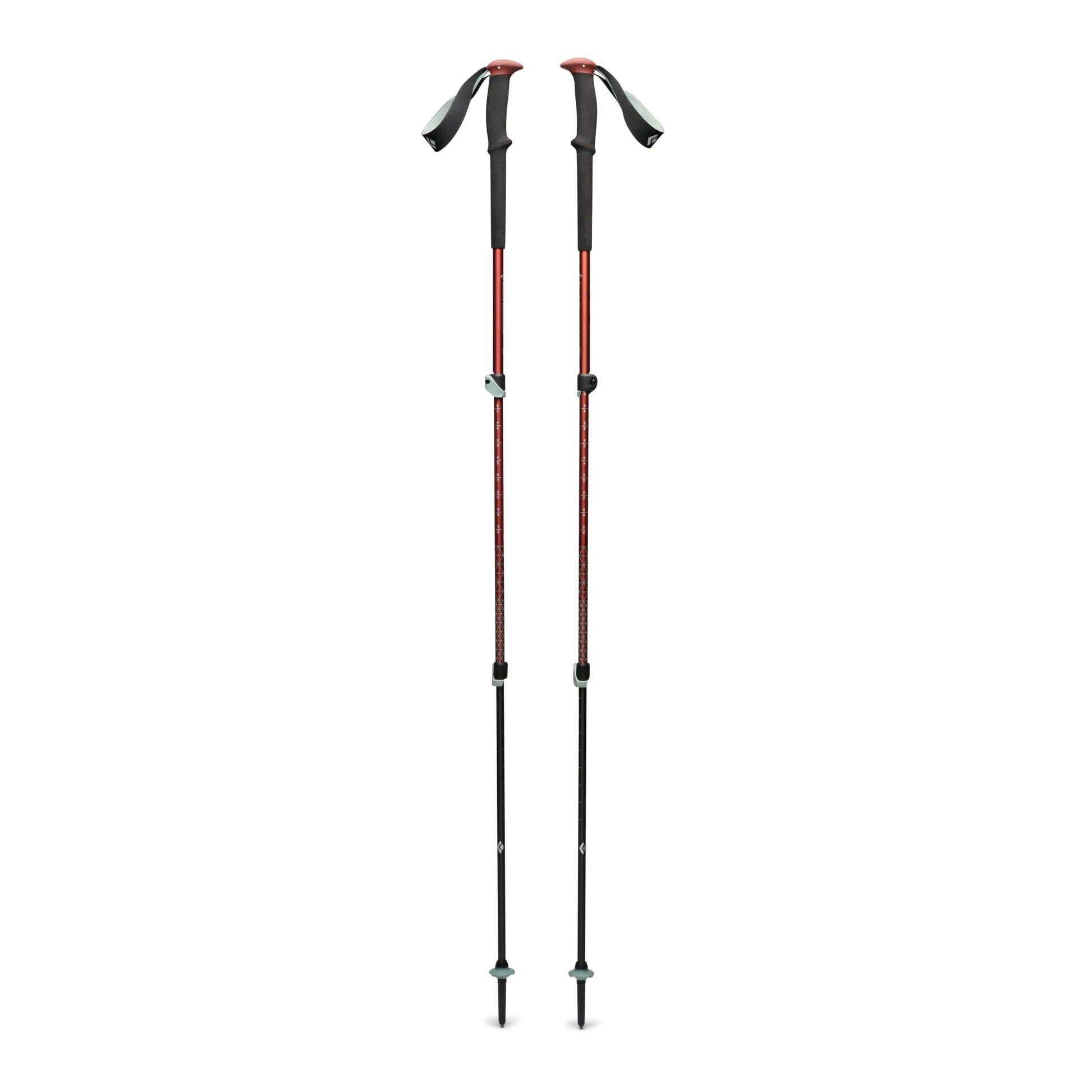 Trail Trekking Poles - Groupe Montagne Explore