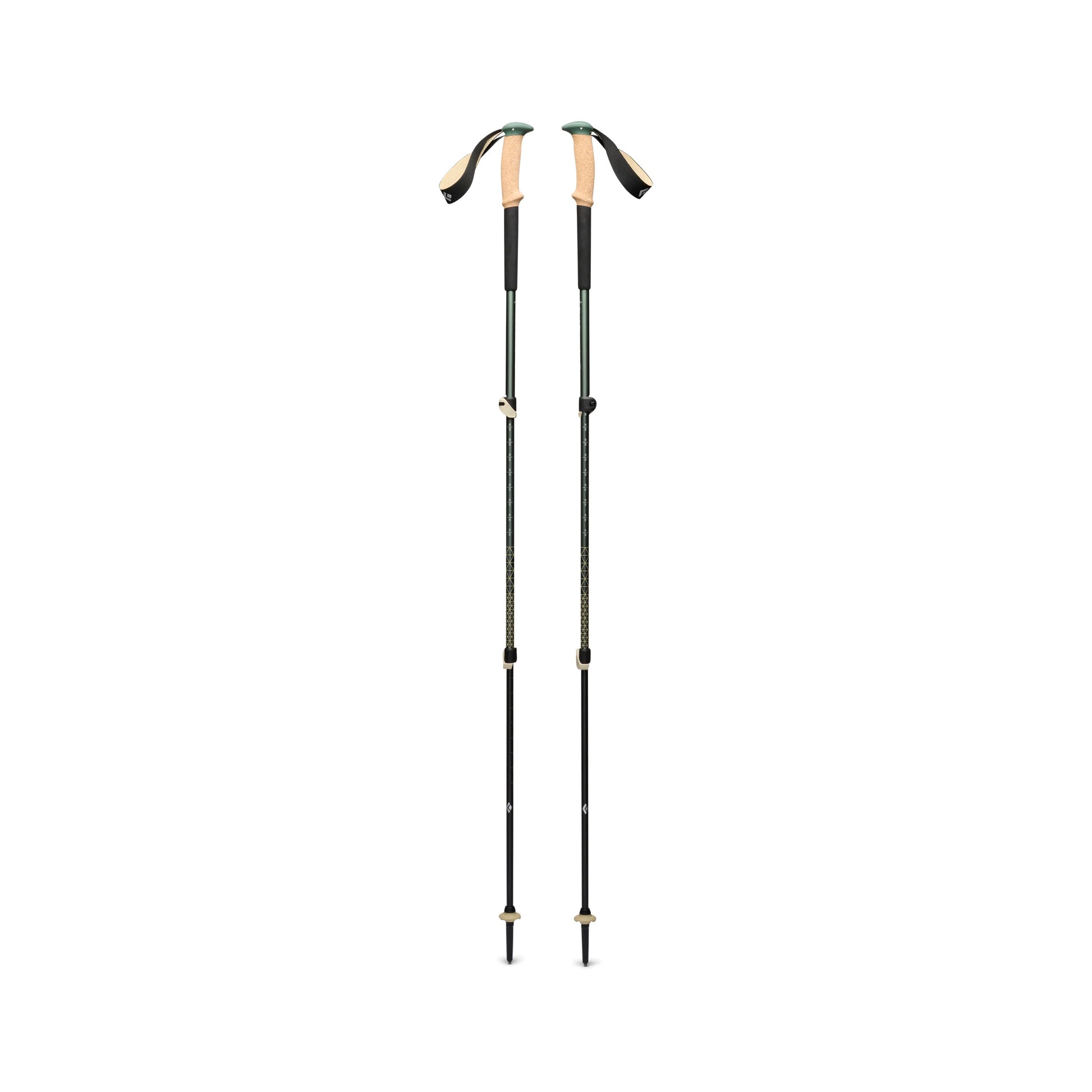Trail Cork Trekking Poles - Groupe Montagne Explore