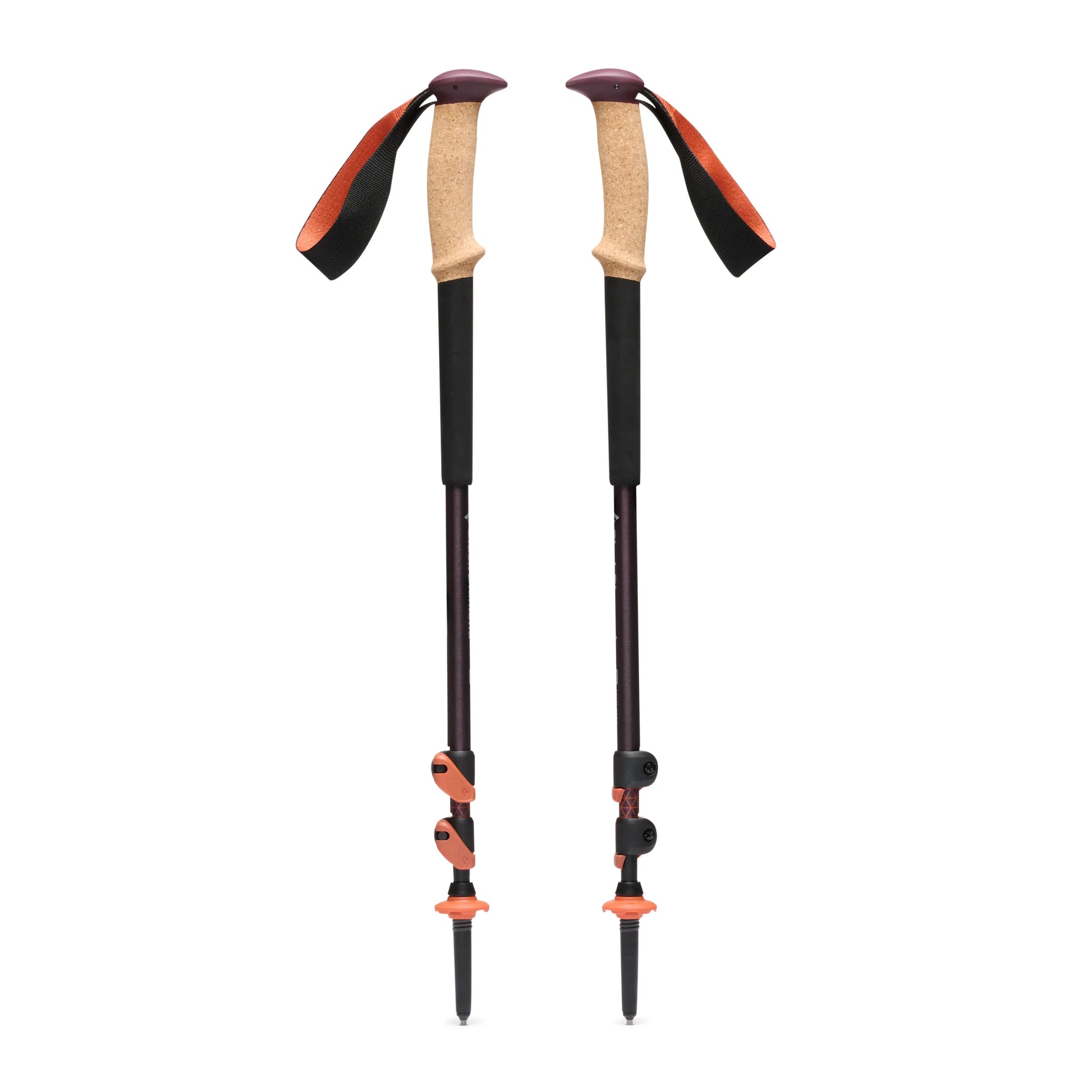 Trail Cork Trekking Poles - Groupe Montagne Explore