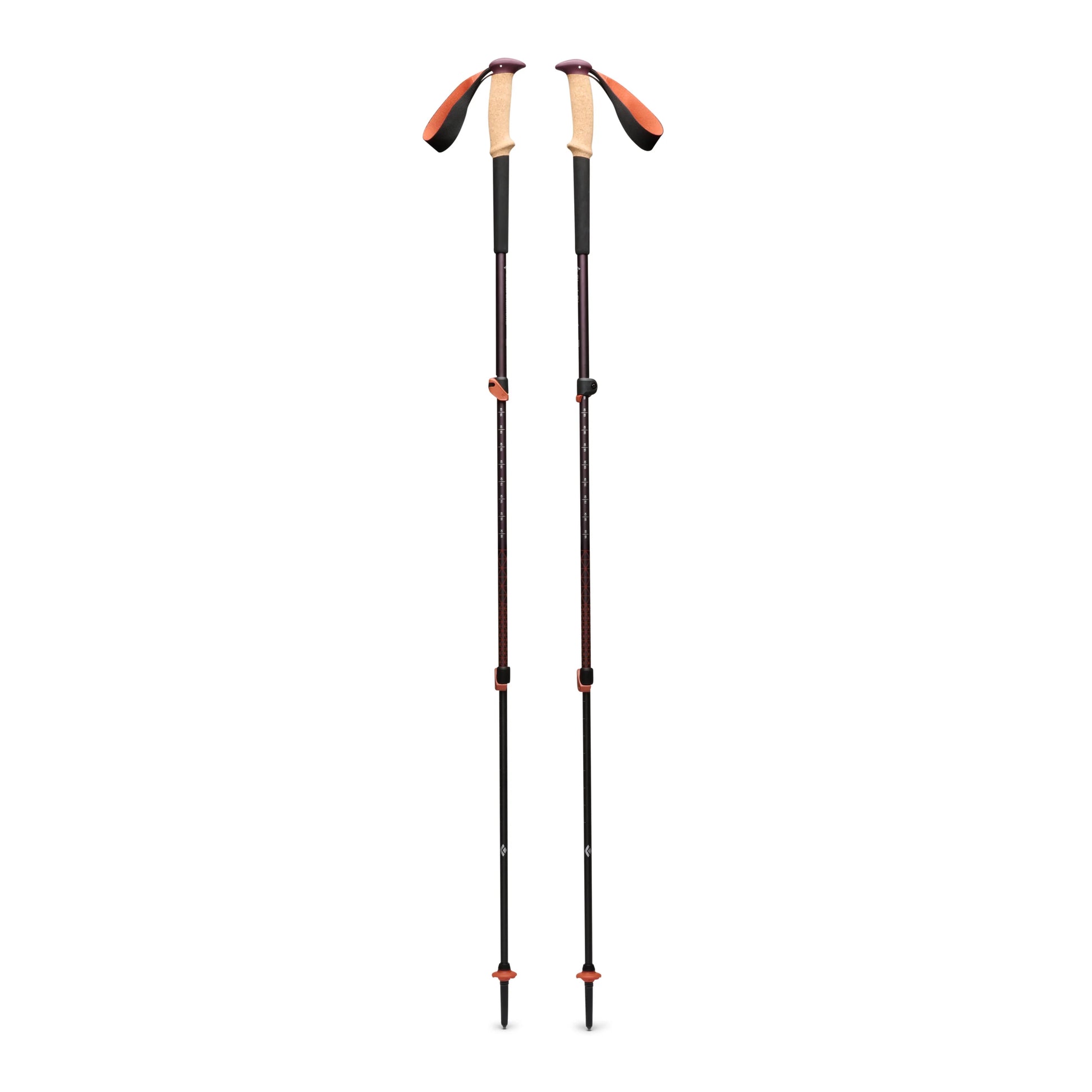 Trail Cork Trekking Poles - Groupe Montagne Explore