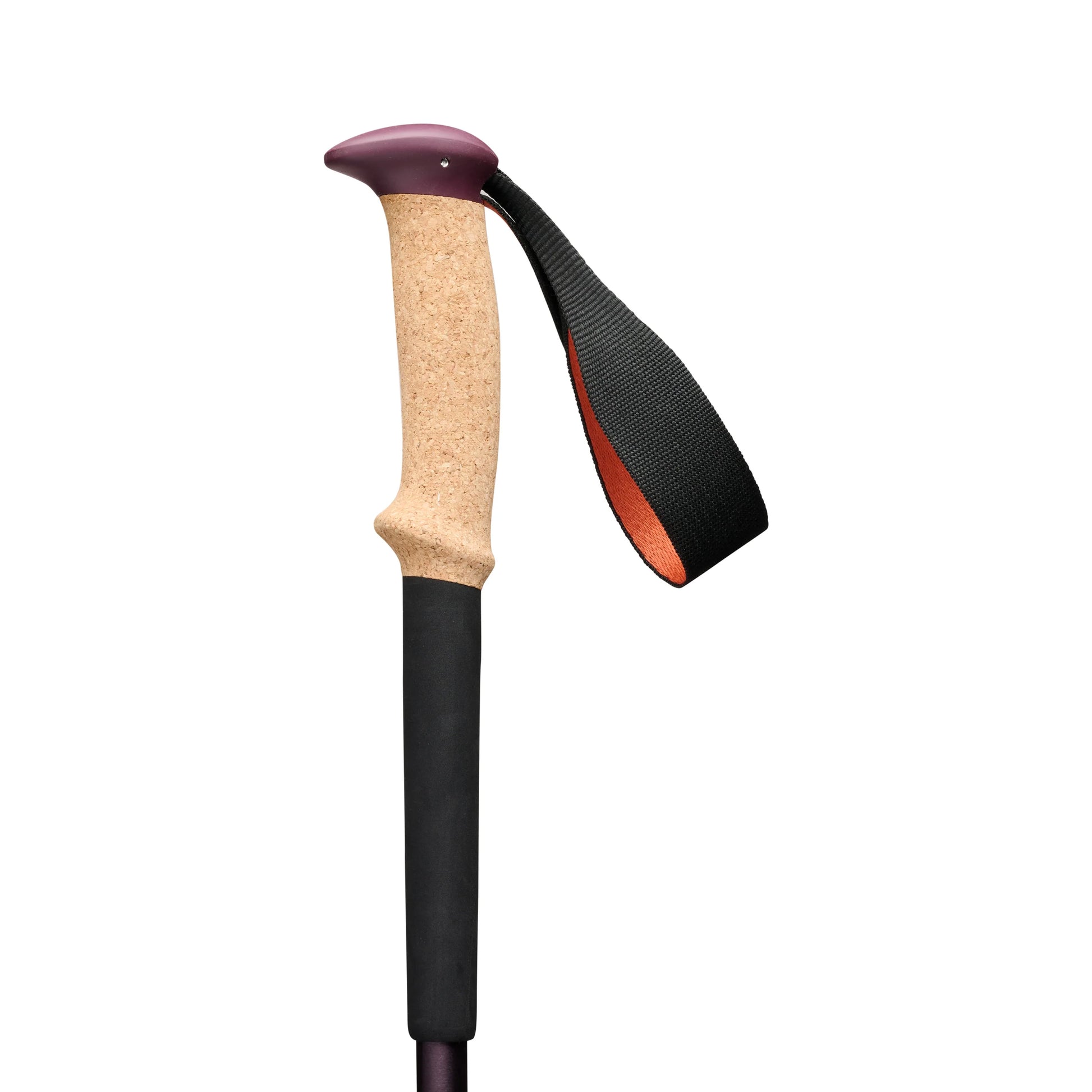 Trail Cork Trekking Poles - Groupe Montagne Explore