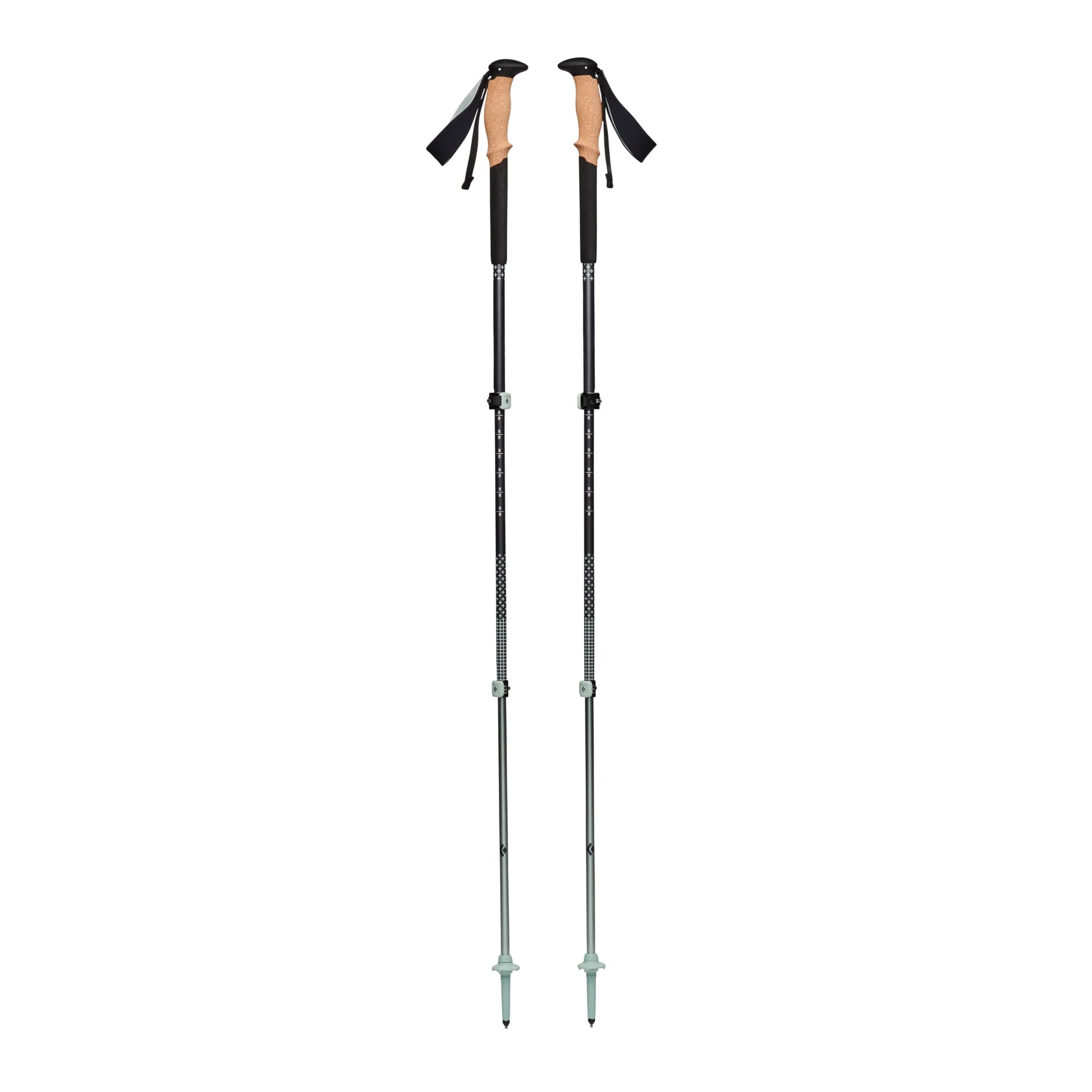 Pursuit Trekking Poles - Groupe Montagne Explore