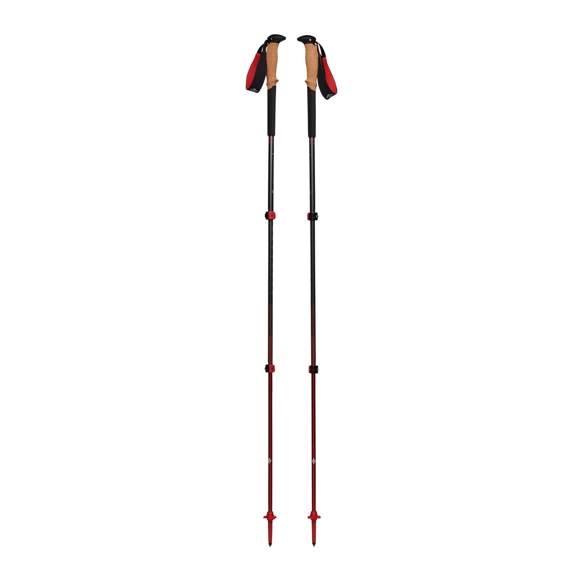 Pursuit Trekking Poles - Groupe Montagne Explore