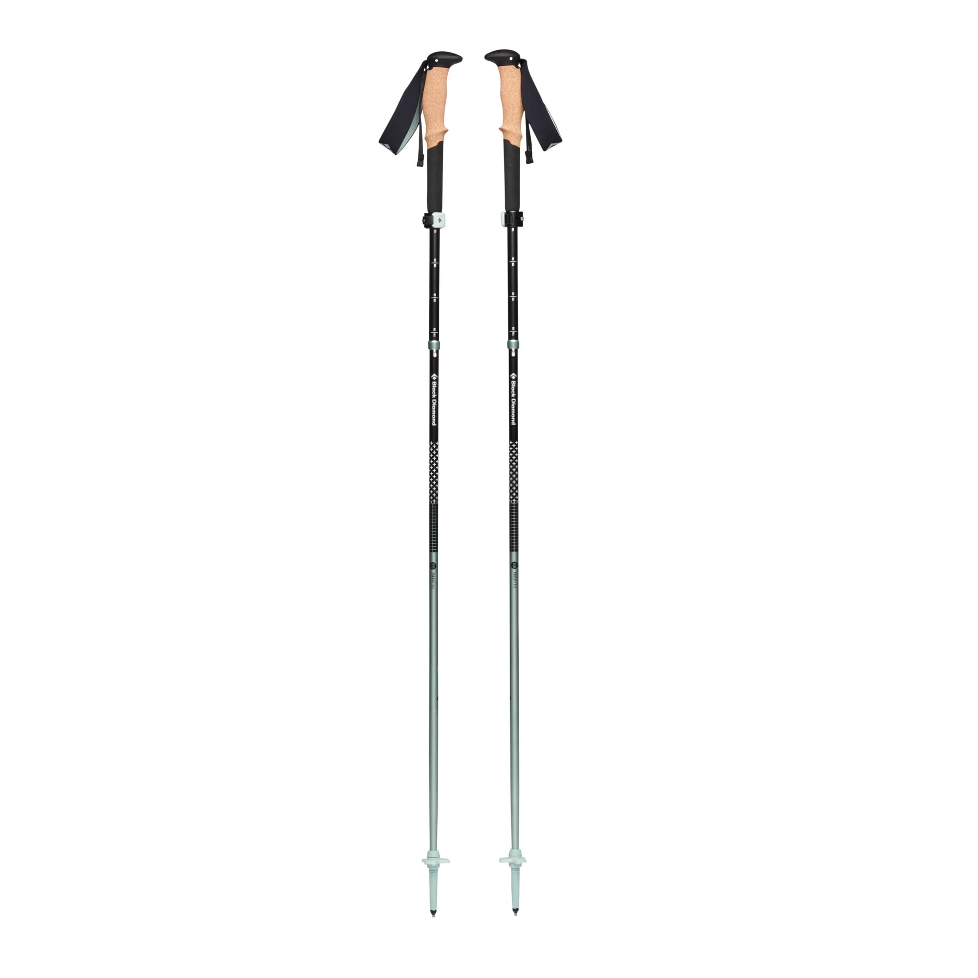 Pursuit FLZ Trekking Poles - Groupe Montagne Explore
