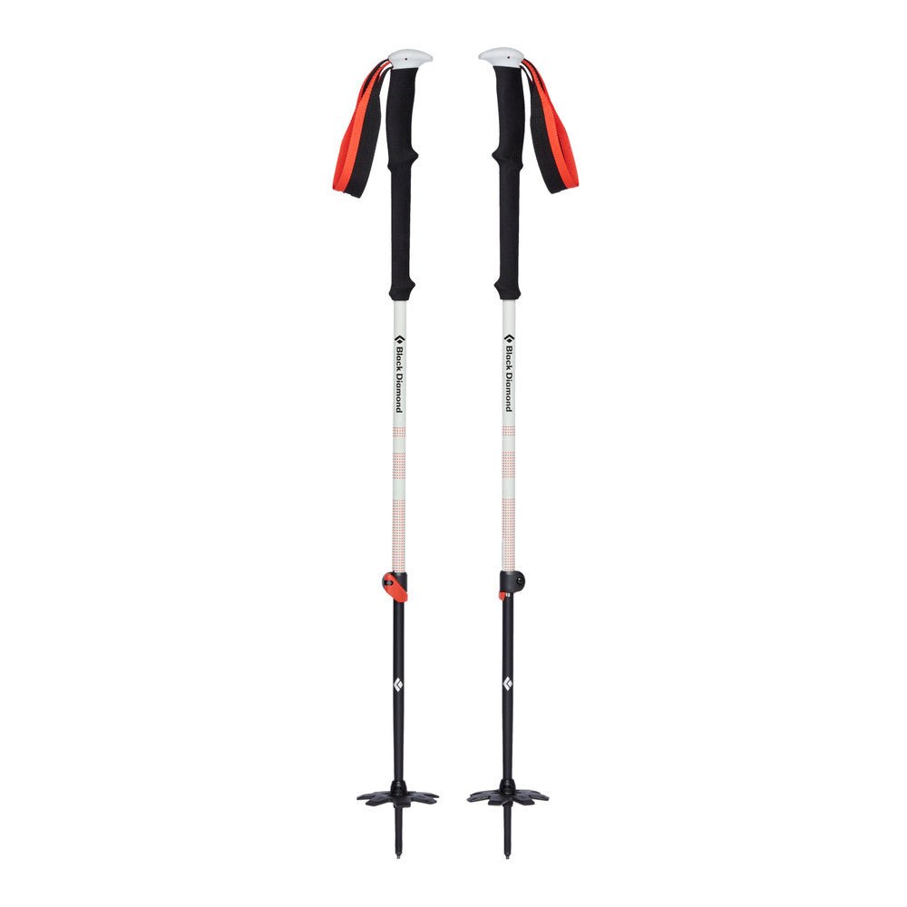 Expedition 2 Ski Poles - Groupe Montagne Explore