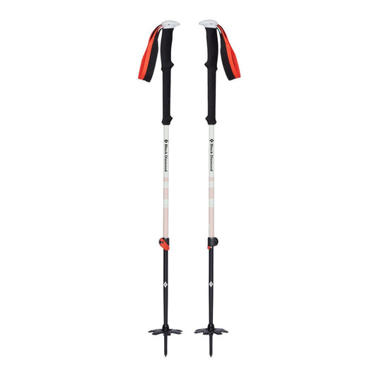 Expedition 2 Ski Poles - Groupe Montagne Explore