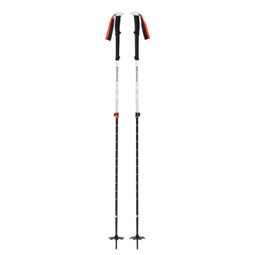 Expedition 2 Ski Poles - Groupe Montagne Explore