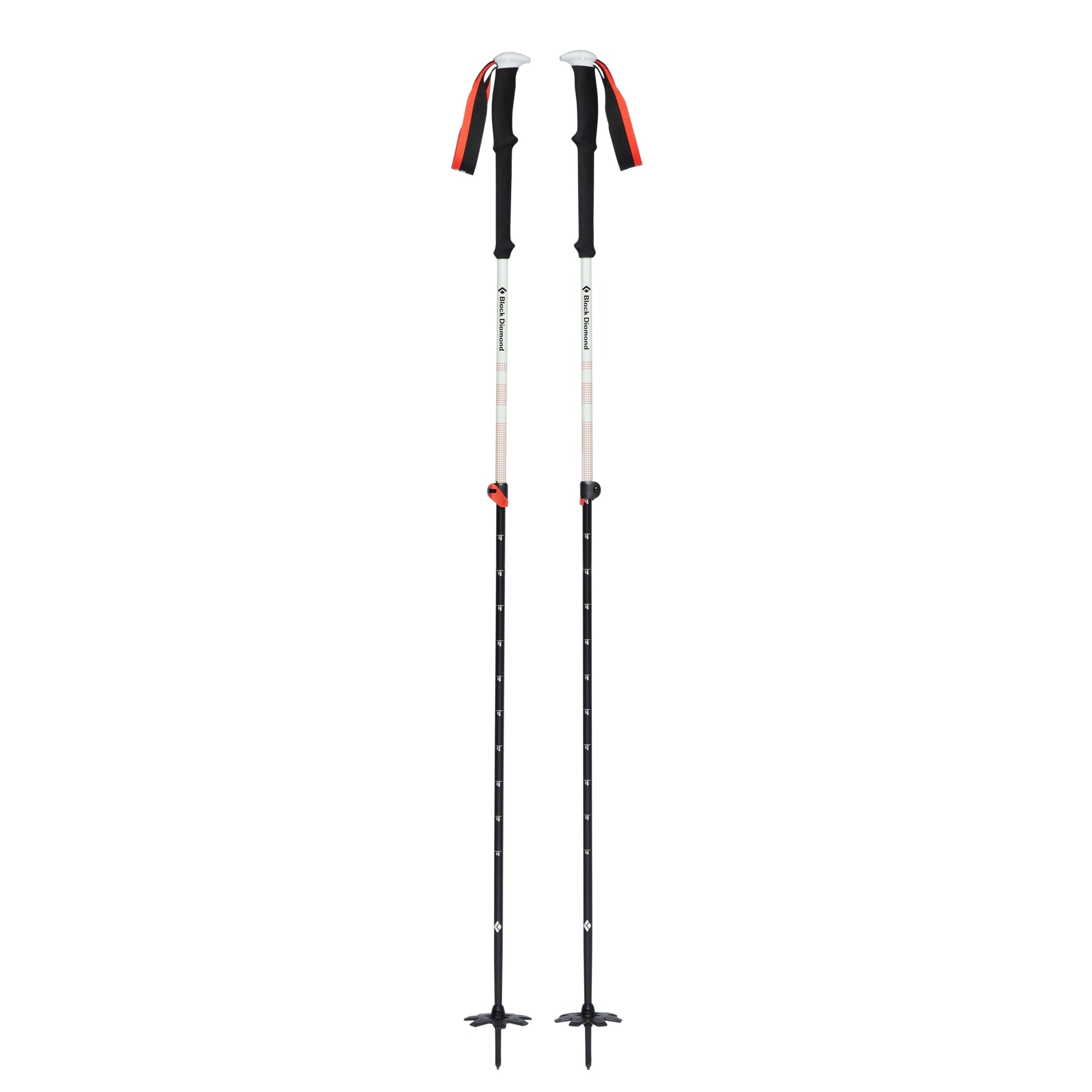 Expedition 2 Ski Poles - Groupe Montagne Explore