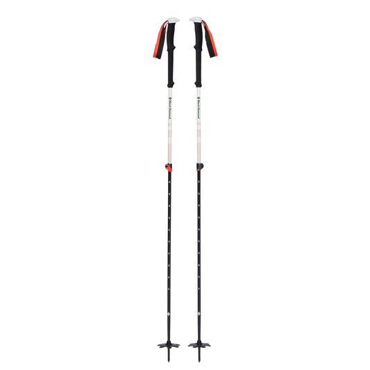 Expedition 2 Ski Poles - Groupe Montagne Explore