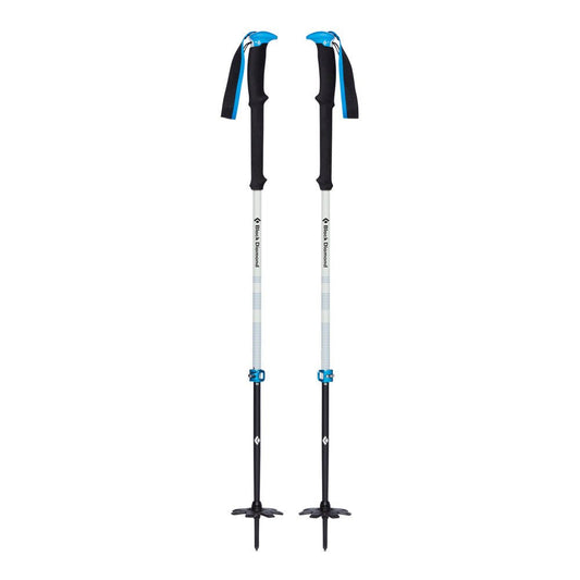 Expedition 2 Pro Ski Poles - Groupe Montagne Explore