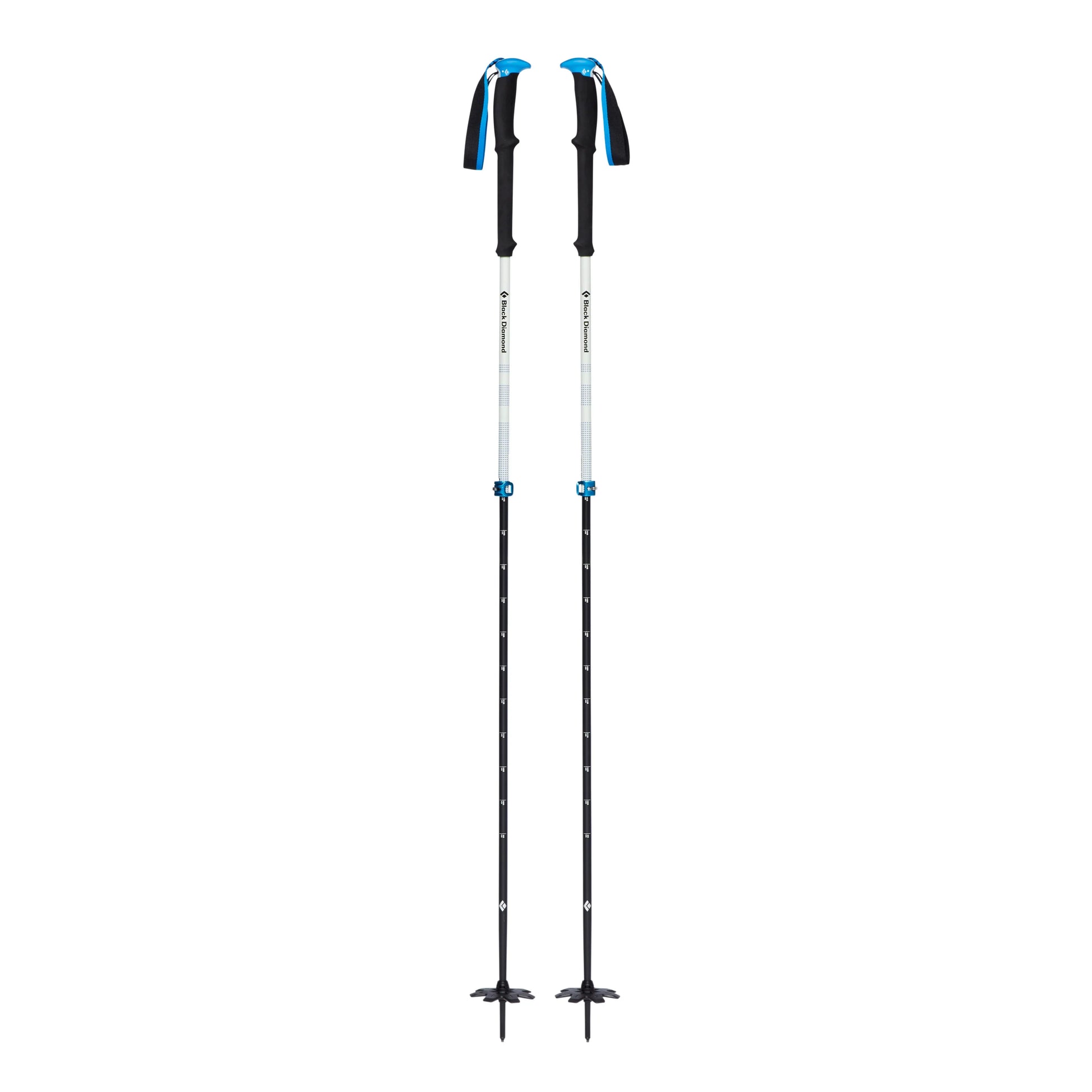 Expedition 2 Pro Ski Poles - Groupe Montagne Explore