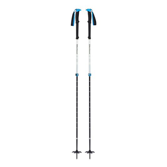 Expedition 2 Pro Ski Poles - Groupe Montagne Explore