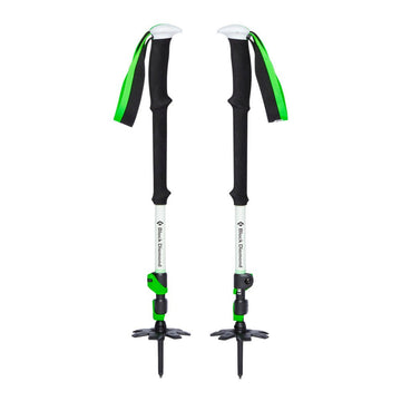 Expedition 3 Ski Poles - Groupe Montagne Explore