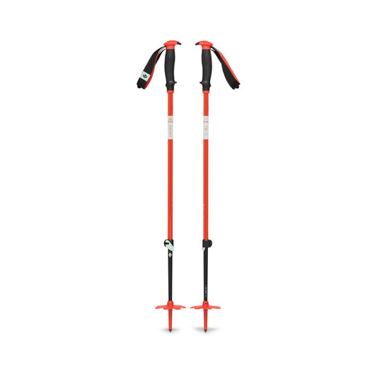 Traverse Ski Poles
