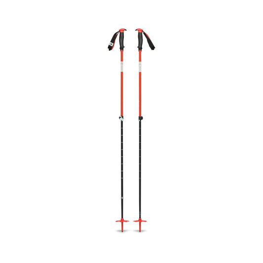 Traverse Ski Poles - Groupe Montagne Explore