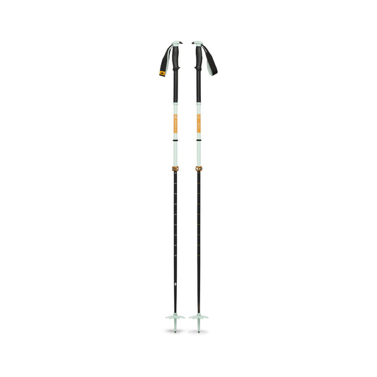 Traverse Pro Ski Poles - Groupe Montagne Explore