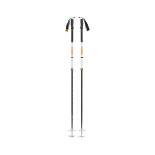 Traverse Pro Ski Poles