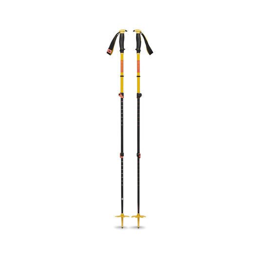 Traverse 3 Ski Poles - Groupe Montagne Explore