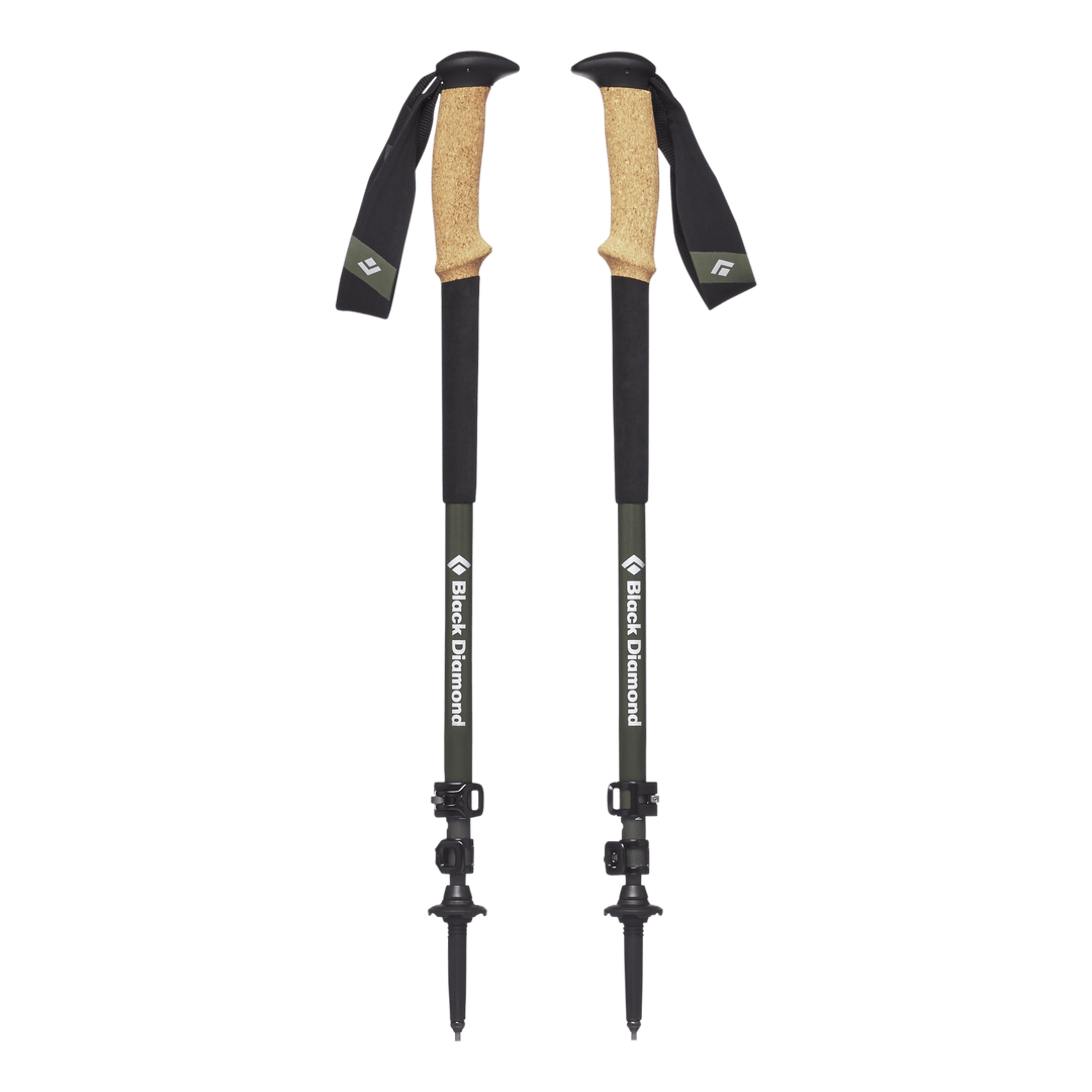 Alpine Carbon Cork Trekking Poles - Groupe Montagne Explore