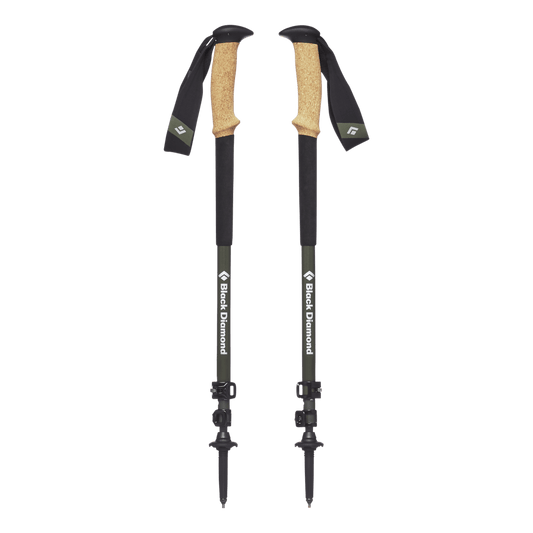 Alpine Carbon Cork Trekking Poles - Groupe Montagne Explore