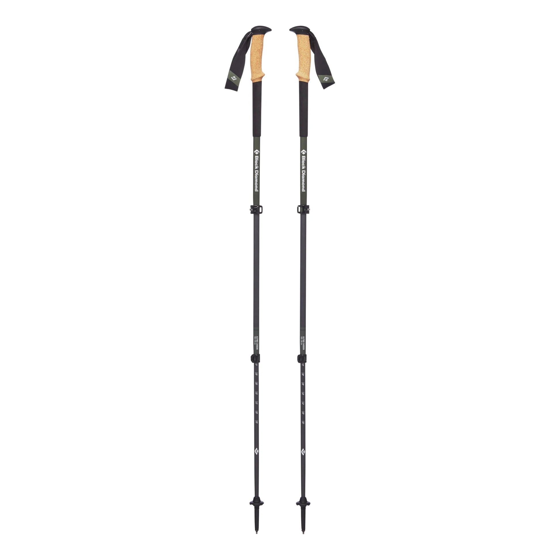 Alpine Carbon Cork Trekking Poles - Groupe Montagne Explore