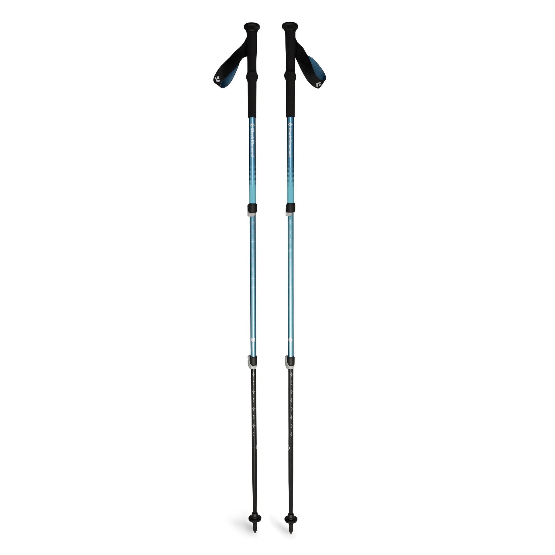 Trail Back Trekking Poles - Groupe Montagne Explore