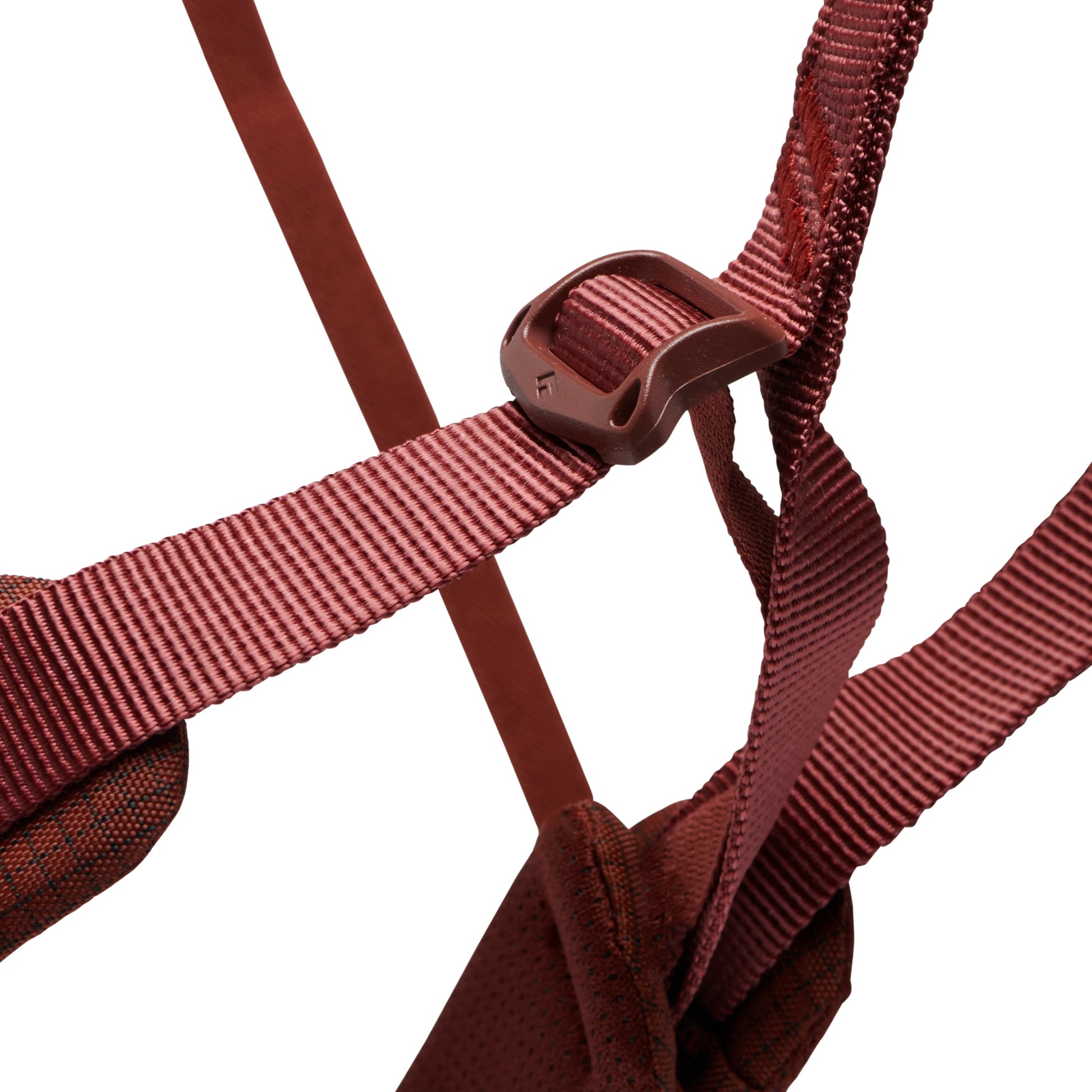 Women's Momentum Harness - Groupe Montagne Explore