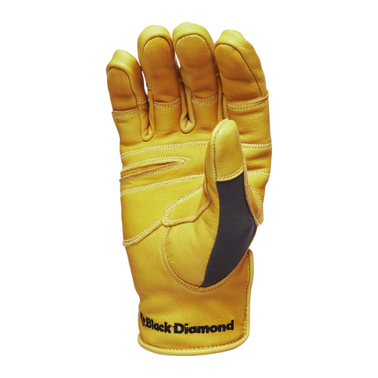Transition Gloves - Groupe Montagne Explore