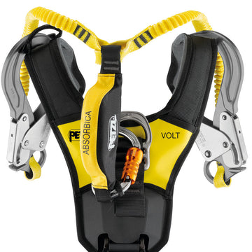 VOLT version internationale