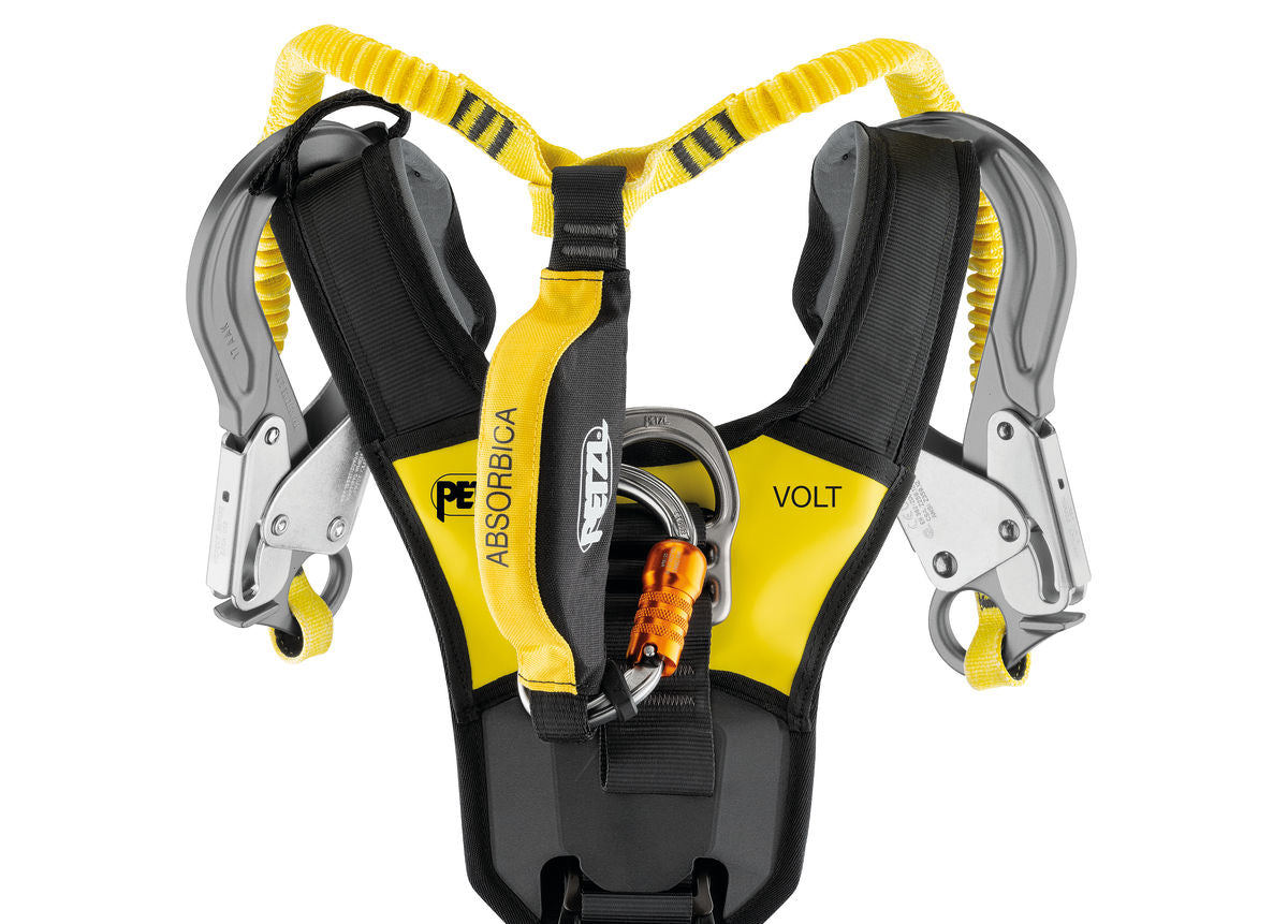 VOLT version internationale