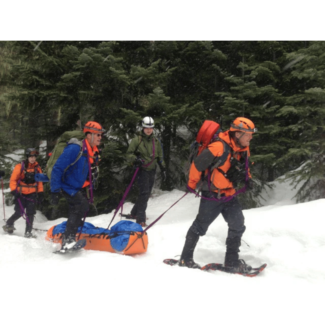SKED BASIC RESCUE SYSTEM w/Cobra Buckles - Int'l Orange
