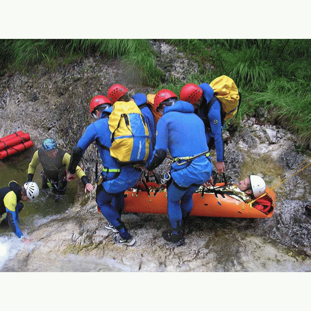 SKED BASIC RESCUE SYSTEM w/Cobra Buckles - Int'l Orange
