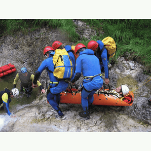 SKED BASIC RESCUE SYSTEM w/Cobra Buckles - Int'l Orange