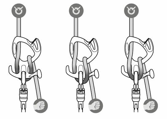 PIRANA GUIDE