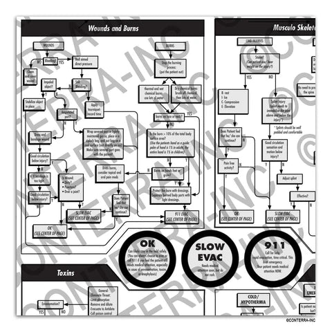 First Aid "At a Glance" Flowchart - Groupe Montagne Explore