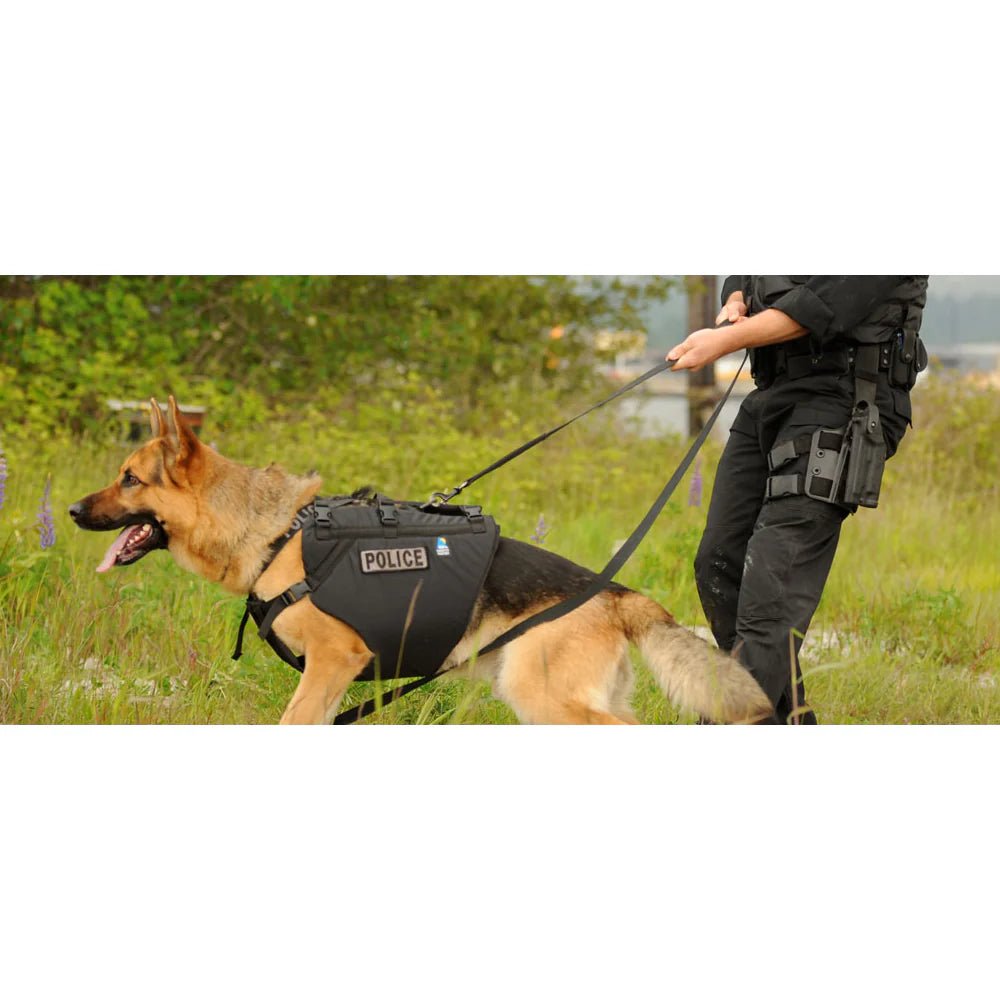 K9 Floater Vest - Groupe Montagne Explore