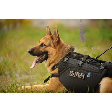 K9 Floater Vest - Groupe Montagne Explore