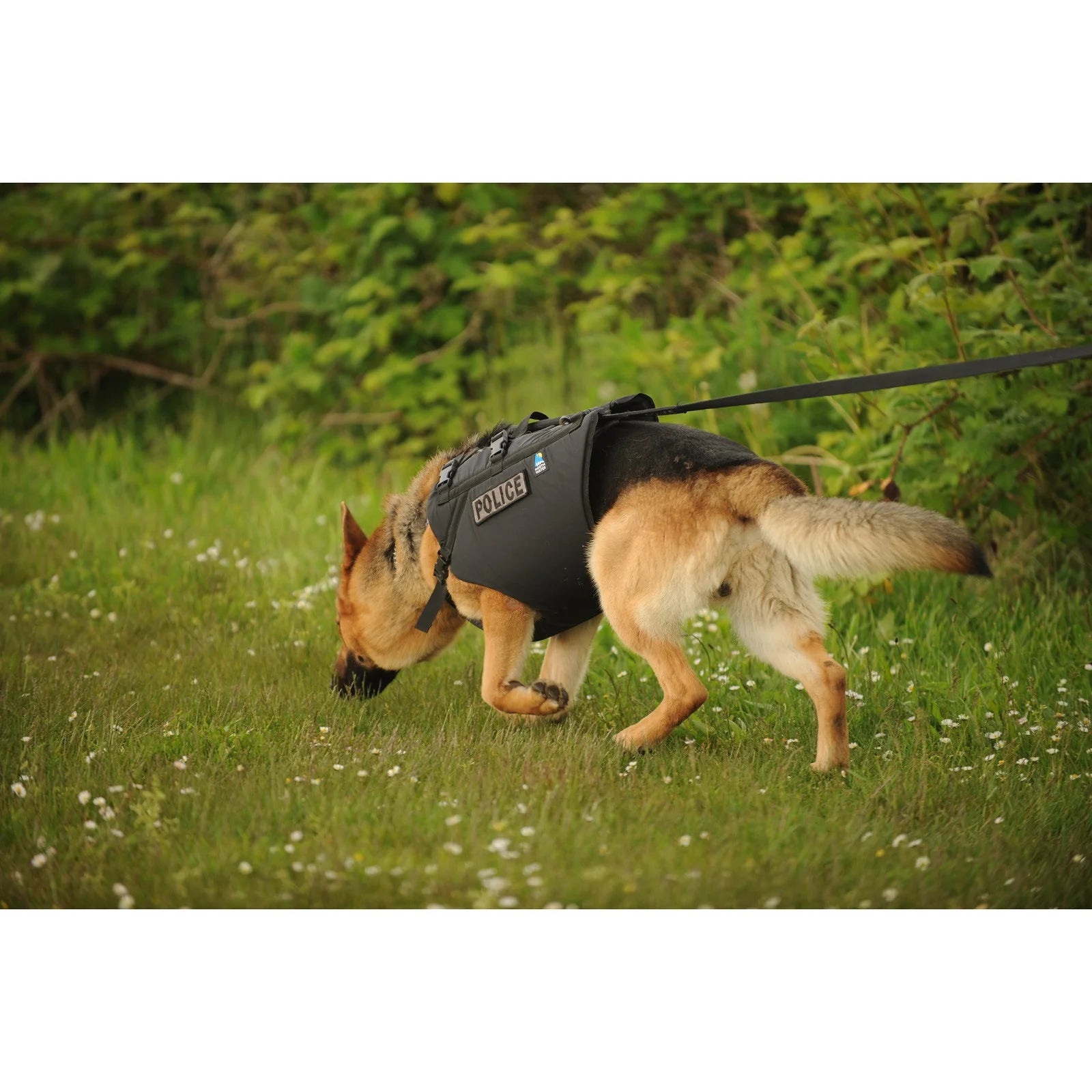 K9 Floater Vest - Groupe Montagne Explore