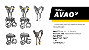 AVAO version internationale