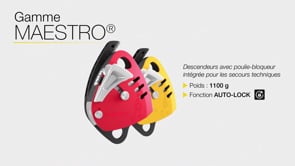 MAESTRO L