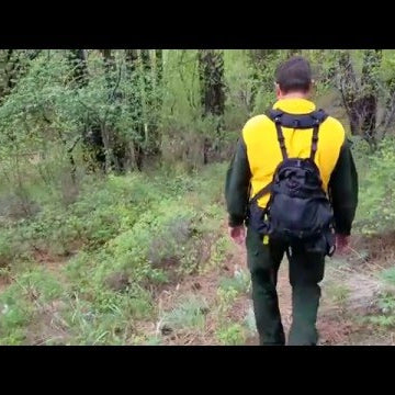 Stryker Wildland Fire Shirt