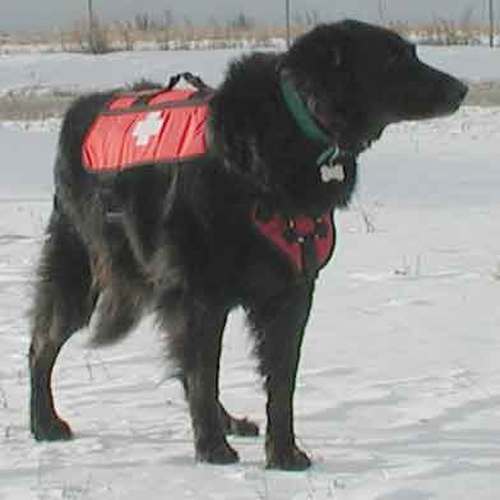 Cascade Rescue -  Dog Patrol Pack