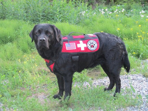 CASCADE RESCUE -  Rescue Dog Patrol Pack